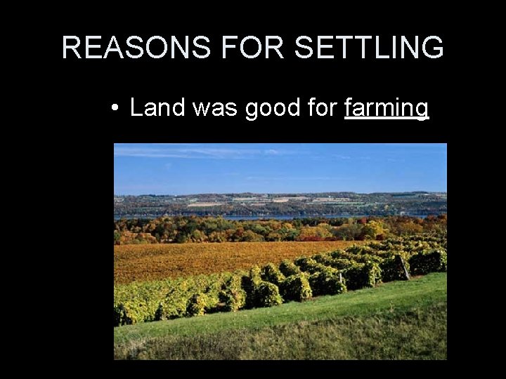 REASONS FOR SETTLING • Land was good for farming 
