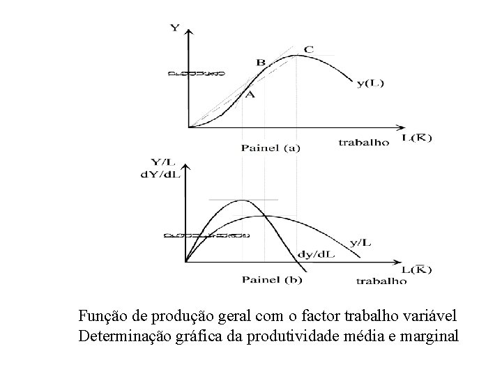 Função de produção geral com o factor trabalho variável Determinação gráfica da produtividade média