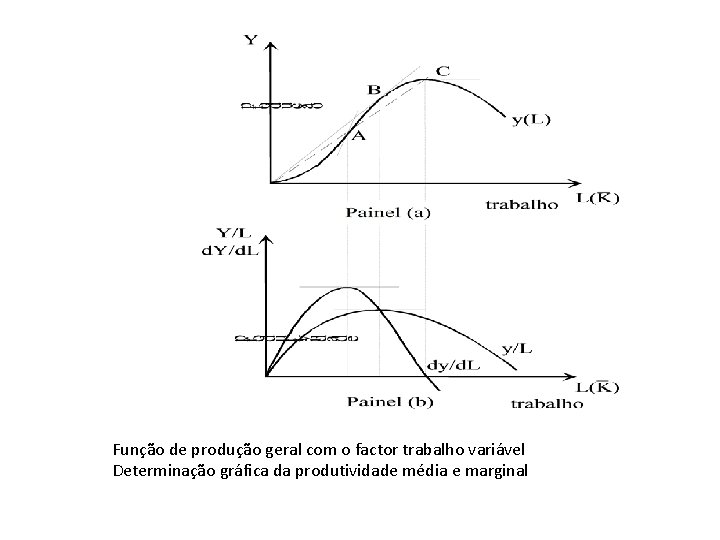 Função de produção geral com o factor trabalho variável Determinação gráfica da produtividade média