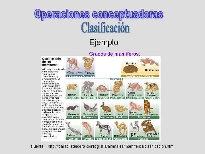 Ejemplo Grupos de mamíferos: Fuente: http: //icarito. latercera. cl/infografia/animales/mamiferos/clasificacion. htm 