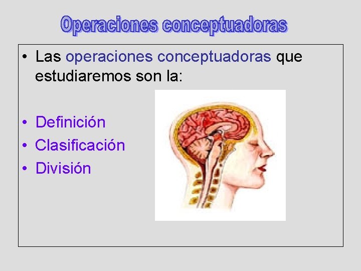  • Las operaciones conceptuadoras que estudiaremos son la: • Definición • Clasificación •