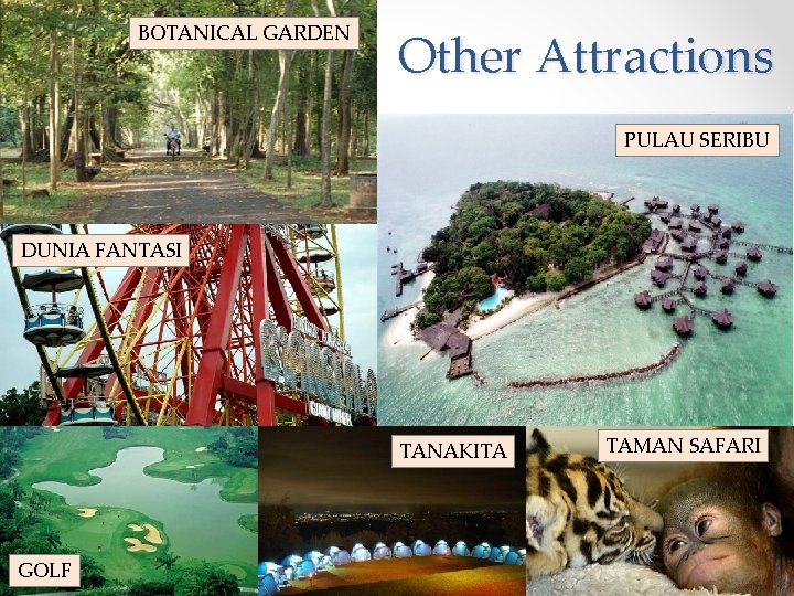 BOTANICAL GARDEN Other Attractions PULAU SERIBU DUNIA FANTASI TANAKITA GOLF TAMAN SAFARI BOTANICAL GARDEN Other Attractions PULAU SERIBU DUNIA FANTASI TANAKITA GOLF TAMAN SAFARI