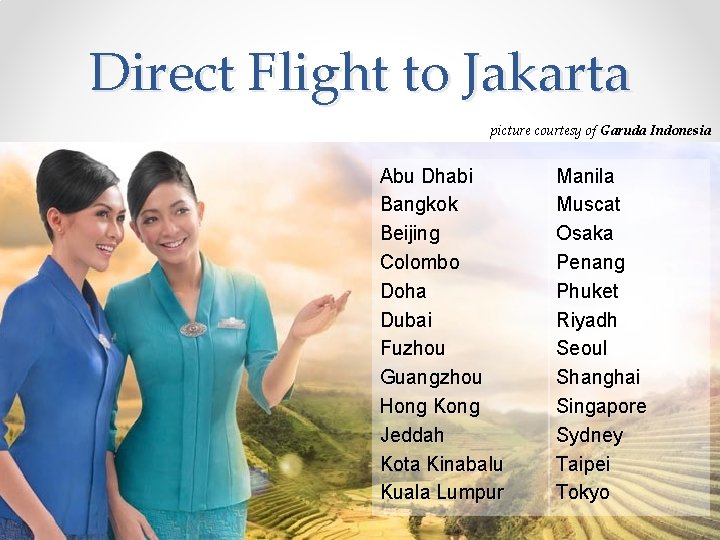 Direct Flight to Jakarta picture courtesy of Garuda Indonesia Abu Dhabi Bangkok Beijing Colombo Direct Flight to Jakarta picture courtesy of Garuda Indonesia Abu Dhabi Bangkok Beijing Colombo