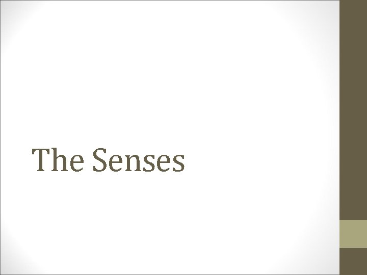 The Senses 