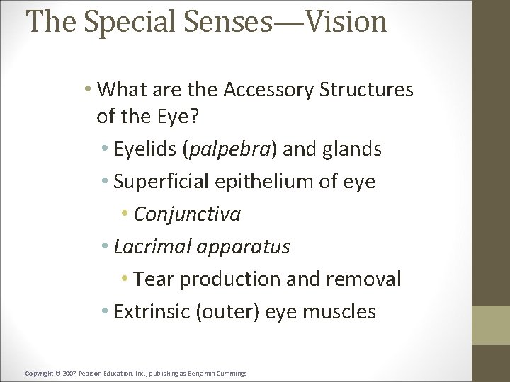 The Special Senses—Vision • What are the Accessory Structures of the Eye? • Eyelids