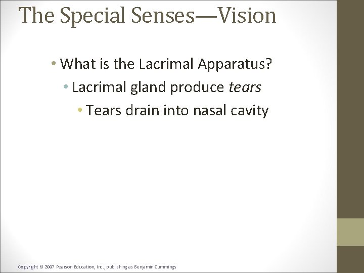The Special Senses—Vision • What is the Lacrimal Apparatus? • Lacrimal gland produce tears