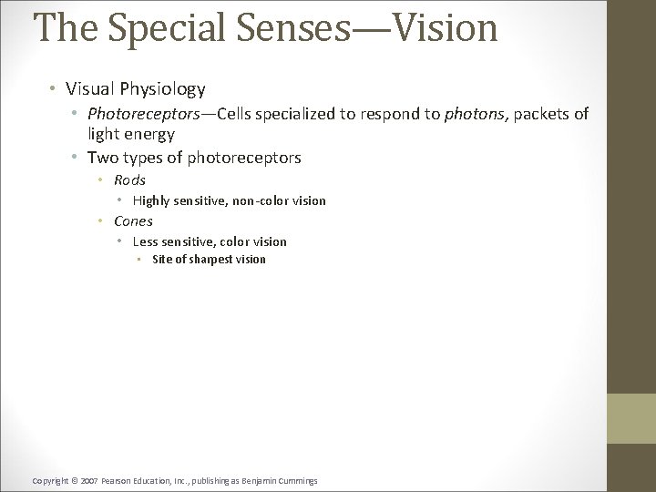 The Special Senses—Vision • Visual Physiology • Photoreceptors—Cells specialized to respond to photons, packets