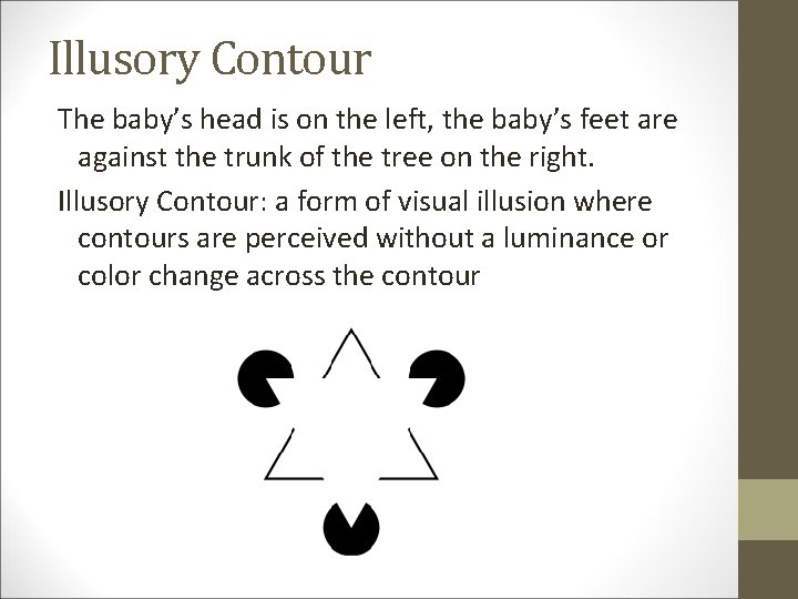 Illusory Contour The baby’s head is on the left, the baby’s feet are against