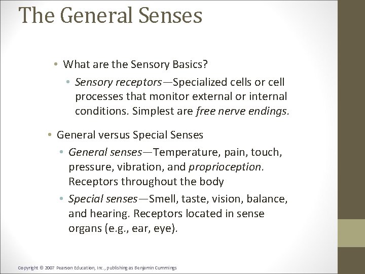 The General Senses • What are the Sensory Basics? • Sensory receptors—Specialized cells or