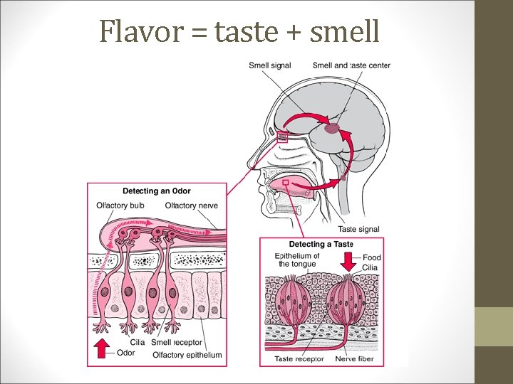 Flavor = taste + smell 