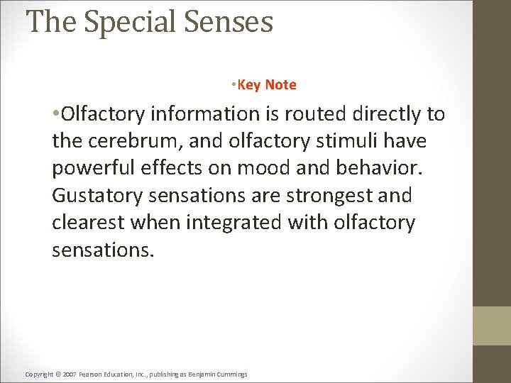 The Special Senses • Key Note • Olfactory information is routed directly to the