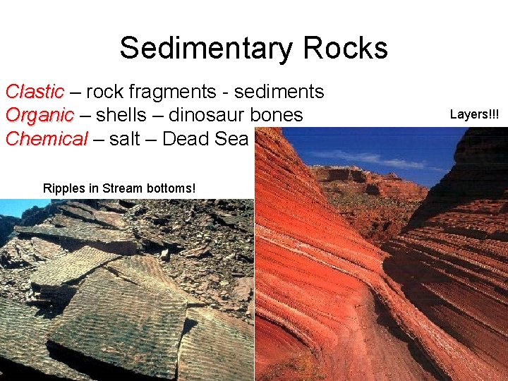 Sedimentary Rocks Clastic – rock fragments - sediments Organic – shells – dinosaur bones