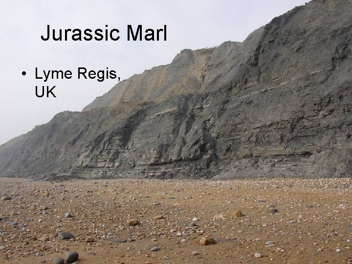 Jurassic Marl • Lyme Regis, UK 