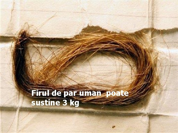 Firul de par uman poate sustine 3 kg 