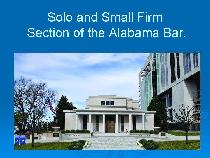 Solo and Small Firm Section of the Alabama Bar. 