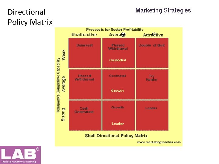 Directional Policy Matrix Marketing Strategies 差 中 