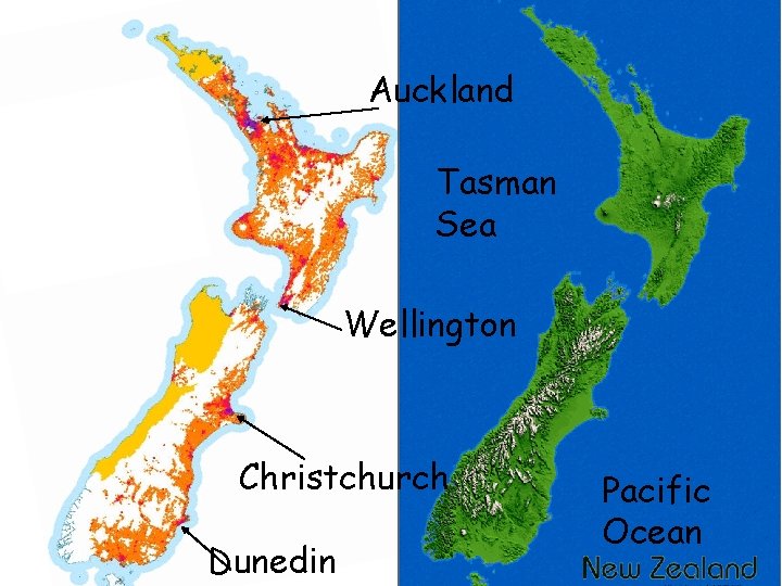 Auckland Tasman Sea Wellington Christchurch Dunedin Pacific Ocean 