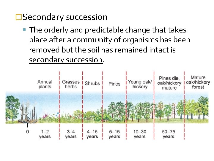 �Secondary succession The orderly and predictable change that takes place after a community of