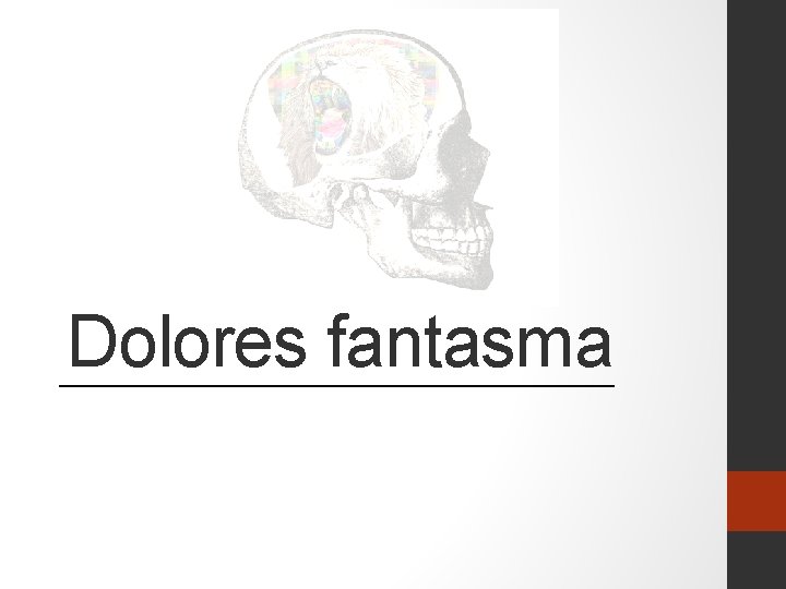 Dolores fantasma 