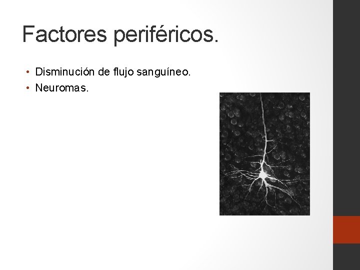 Factores periféricos. • Disminución de flujo sanguíneo. • Neuromas. 