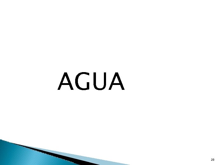 AGUA 28 