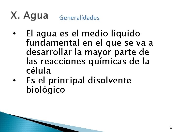 Generalidades • • El agua es el medio liquido fundamental en el que se