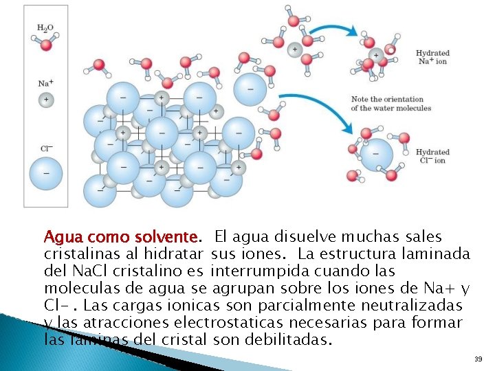 Agua como solvente. El agua disuelve muchas sales cristalinas al hidratar sus iones. La