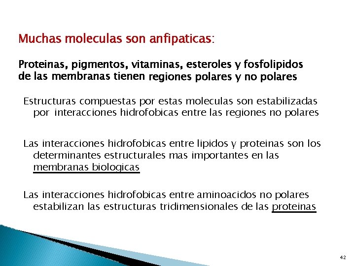 Muchas moleculas son anfipaticas: Proteinas, pigmentos, vitaminas, esteroles y fosfolipidos de las membranas tienen