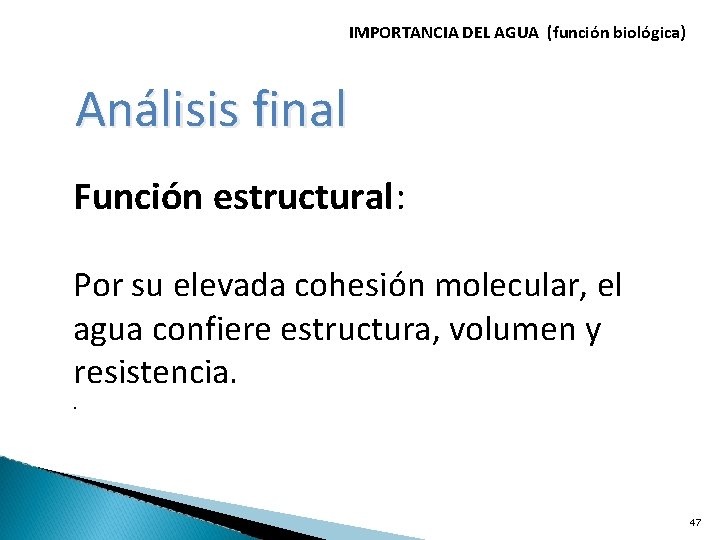 IMPORTANCIA DEL AGUA (función biológica) Análisis final Función estructural: Por su elevada cohesión molecular,