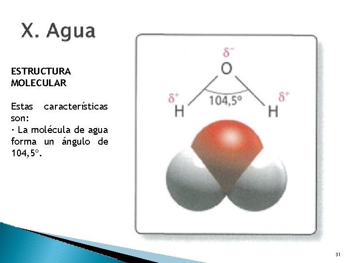 ESTRUCTURA MOLECULAR Estas características son: · La molécula de agua forma un ángulo de