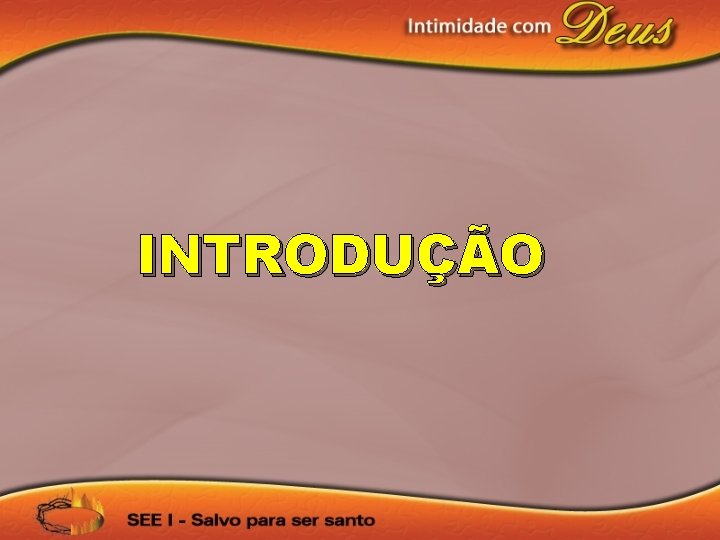 INTRODUÇÃO 