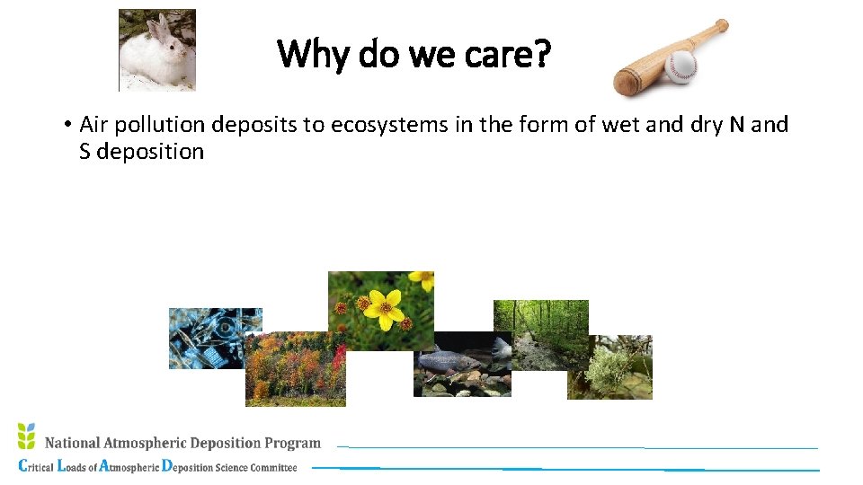 Why do we care? • Air pollution deposits to ecosystems in the form of