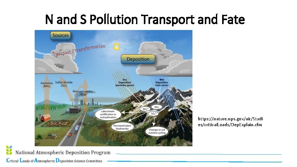 N and S Pollution Transport and Fate https: //nature. nps. gov/air/Studi es/critical. Loads/Dep. Explain.