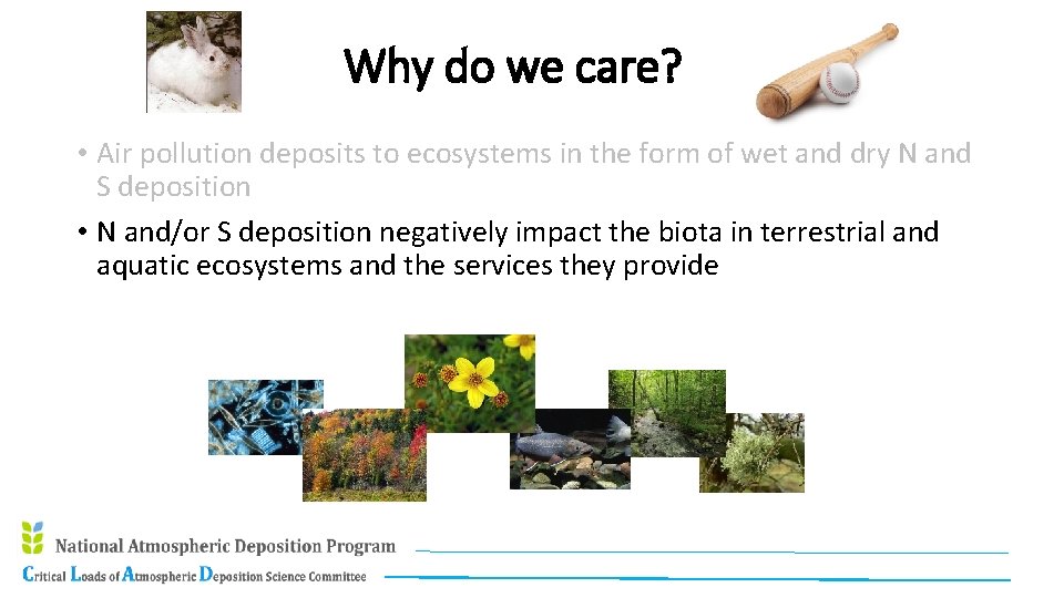 Why do we care? • Air pollution deposits to ecosystems in the form of