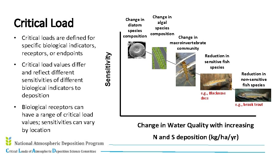 Change in algal diatom species composition Change in macroinvertebrate community • Critical loads are