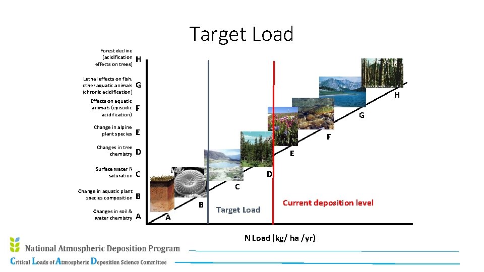 Target Load Forest decline (acidification effects on trees) H Lethal effects on fish, other