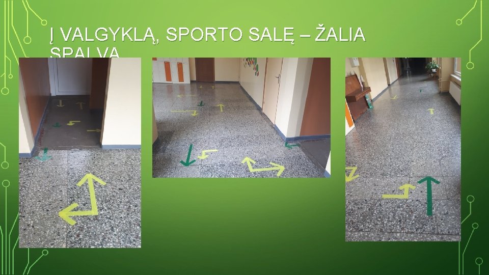 Į VALGYKLĄ, SPORTO SALĘ – ŽALIA SPALVA. 