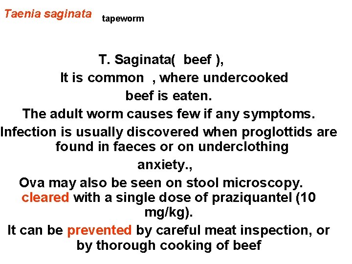 Taenia saginata tapeworm T. Saginata( beef ), It is common , where undercooked beef