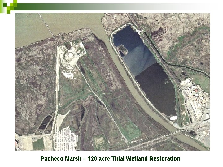 Pacheco Marsh – 120 acre Tidal Wetland Restoration 