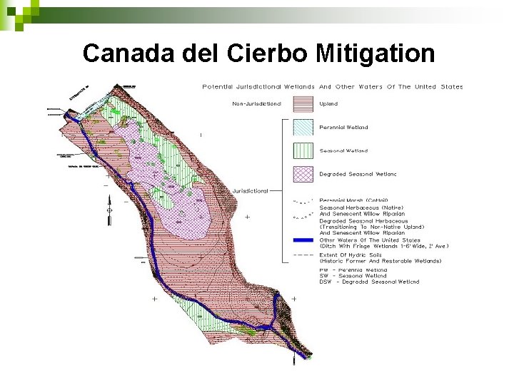 Canada del Cierbo Mitigation 