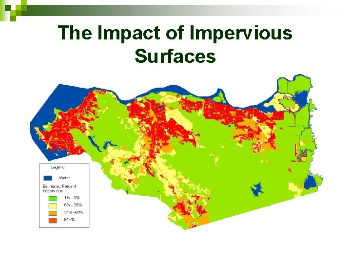 The Impact of Impervious Surfaces 