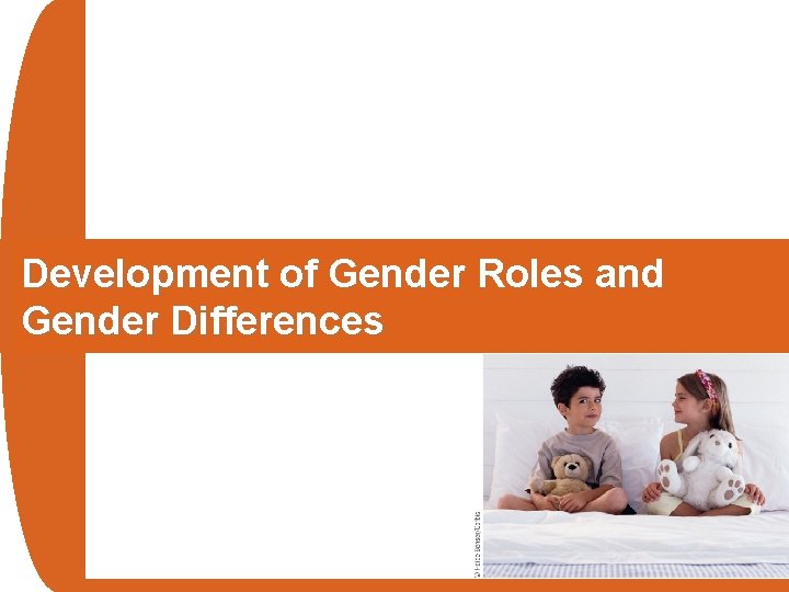 Development of Gender Roles and Gender Differences 