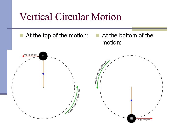 Vertical Circular Motion n At the top of the motion: n At the bottom