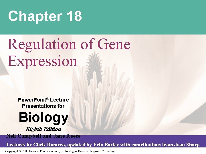 Chapter 18 Regulation of Gene Expression Power Point