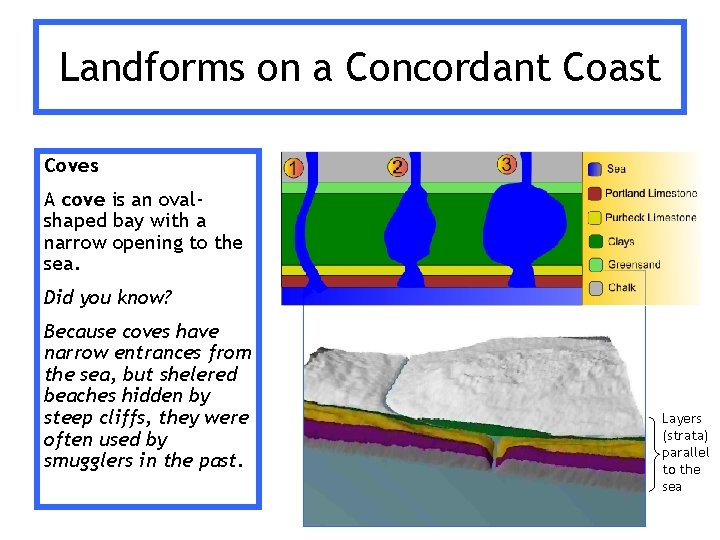 Landforms on a Concordant Coast Coves A cove is an ovalshaped bay with a Landforms on a Concordant Coast Coves A cove is an ovalshaped bay with a