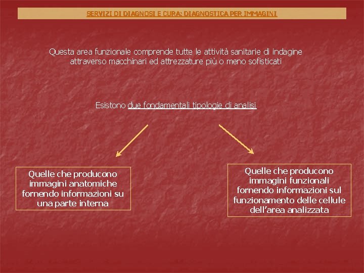 SERVIZI DI DIAGNOSI E CURA: DIAGNOSTICA PER IMMAGINI Questa area funzionale comprende tutte le SERVIZI DI DIAGNOSI E CURA: DIAGNOSTICA PER IMMAGINI Questa area funzionale comprende tutte le