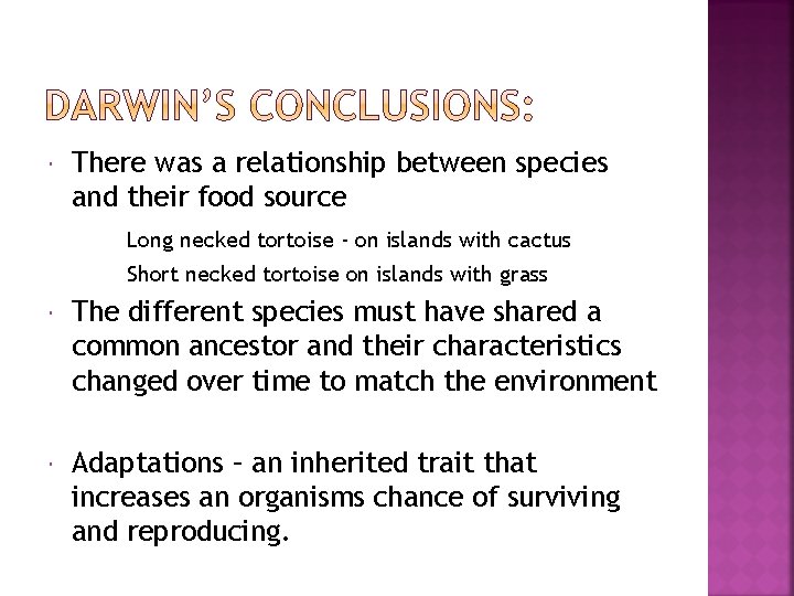  There was a relationship between species and their food source Long necked tortoise