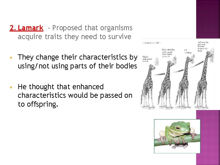 2. Lamark - Proposed that organisms acquire traits they need to survive • They