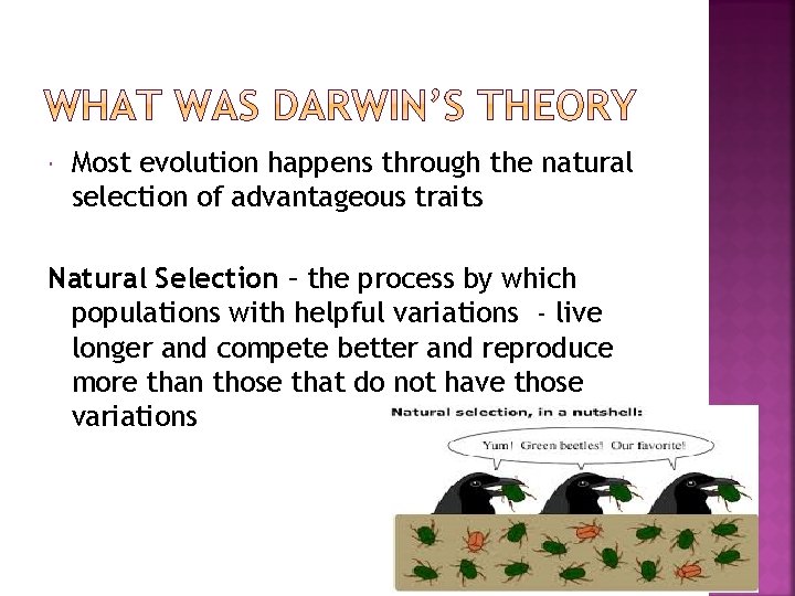  Most evolution happens through the natural selection of advantageous traits Natural Selection –