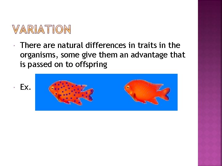  There are natural differences in traits in the organisms, some give them an